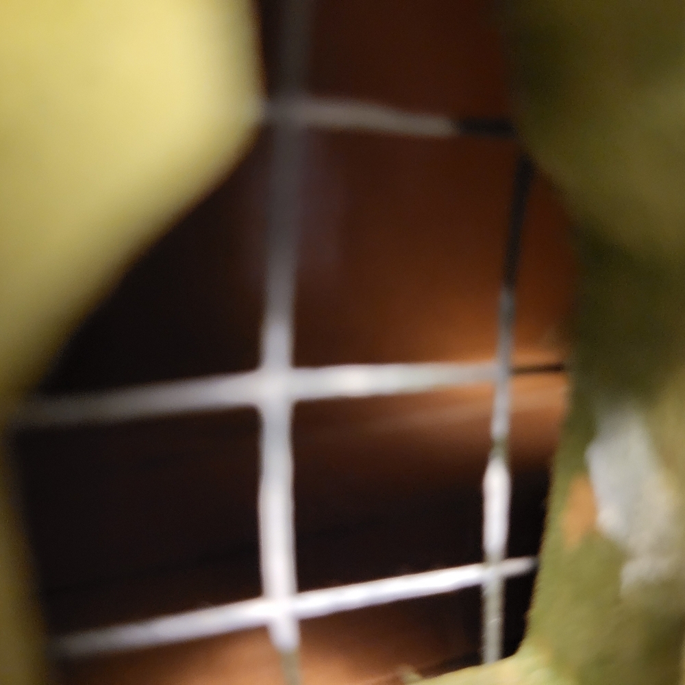Bird House With Removable Steeple - Picture 7 of 13